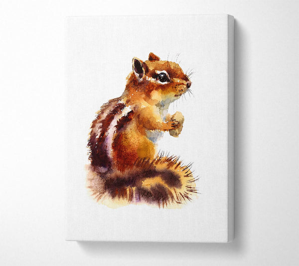 Picture of Squirrel Nuts Canvas Print Wall Art