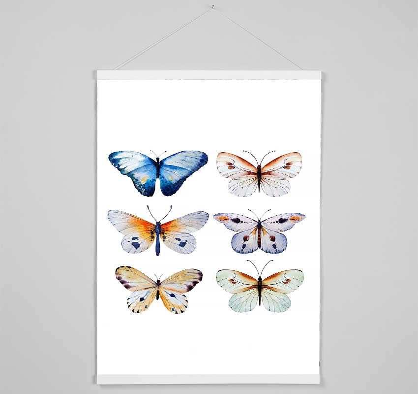 Butterfly Breeds Hanging Poster - Wallart-Direct UK