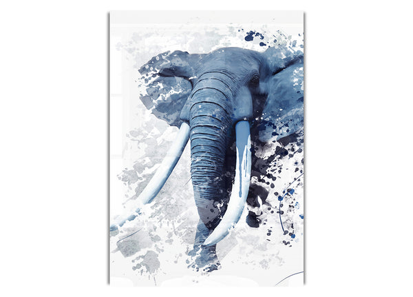 Elephant Grey