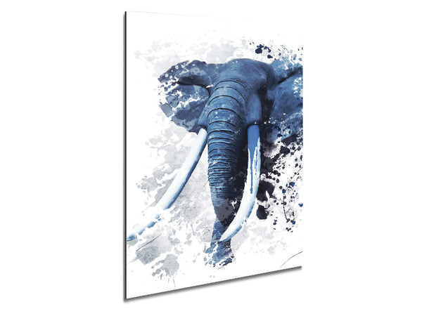 Elephant Grey