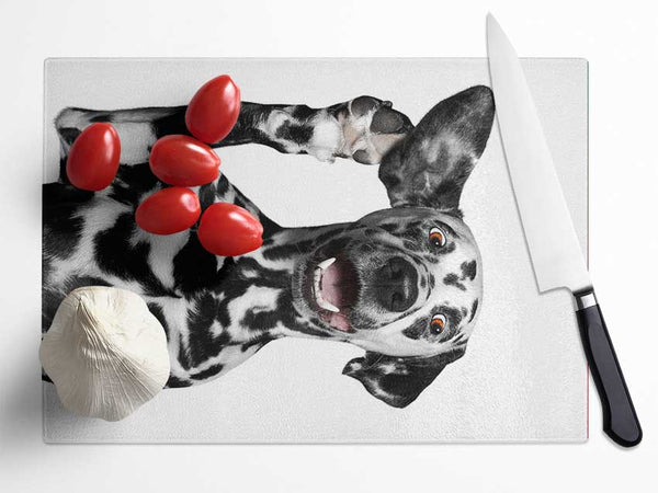 Dalmation Dog High Five Glass Chopping Board