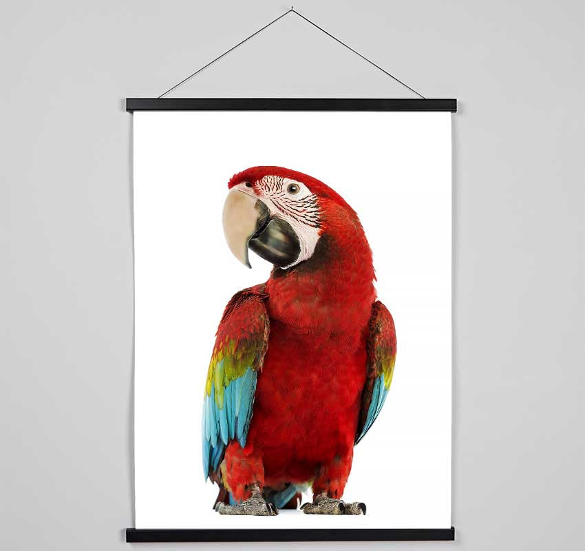 Blue Macaw Parrot Hanging Poster - Wallart-Direct UK