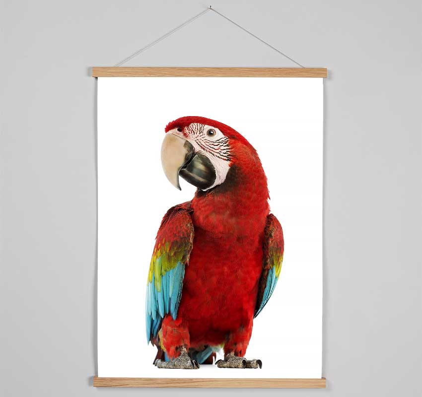 Blue Macaw Parrot Hanging Poster - Wallart-Direct UK