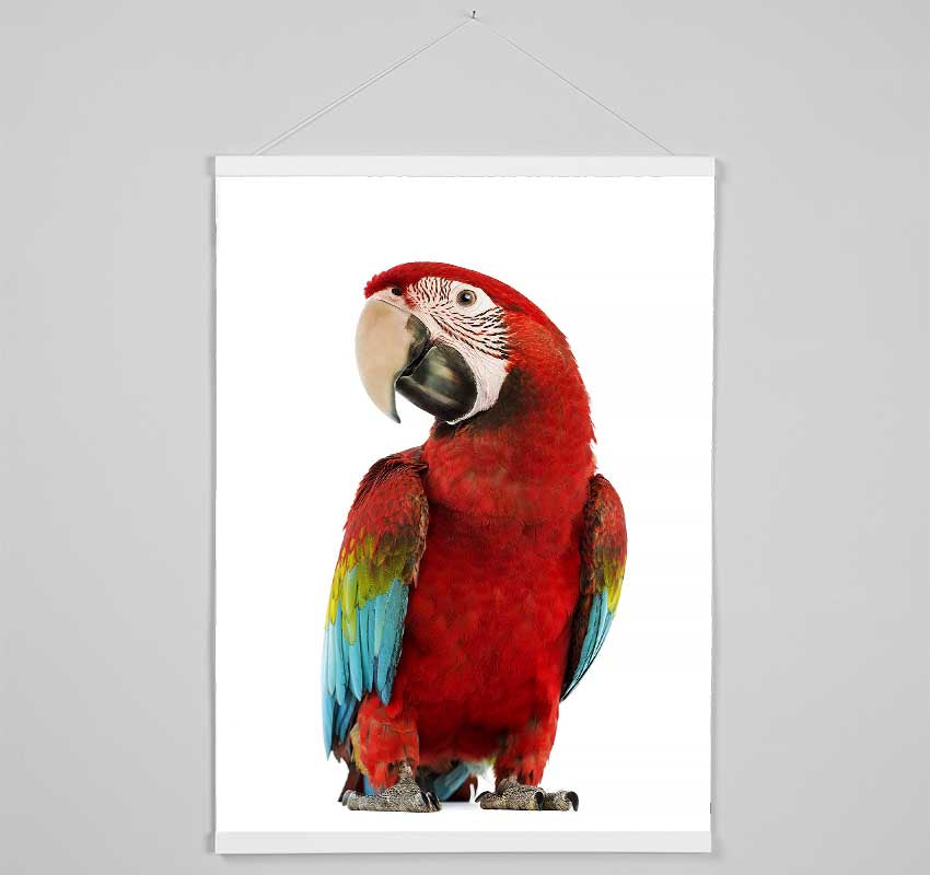 Blue Macaw Parrot Hanging Poster - Wallart-Direct UK