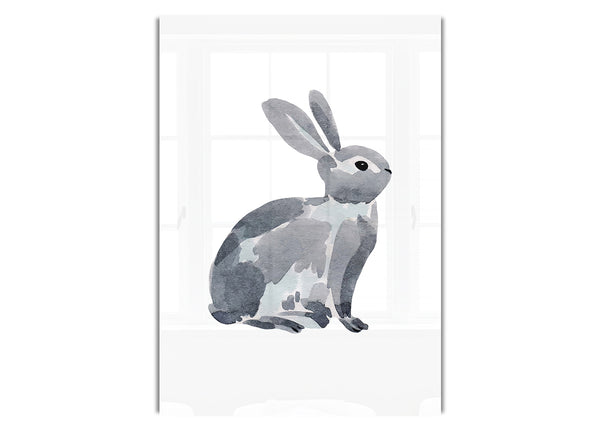 Grey Rabbit