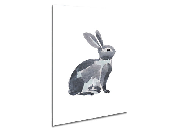 Grey Rabbit