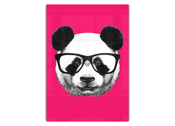 Funky Panda