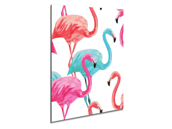 Flamingo Colours