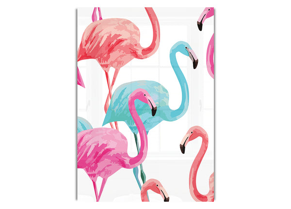 Flamingo Farben