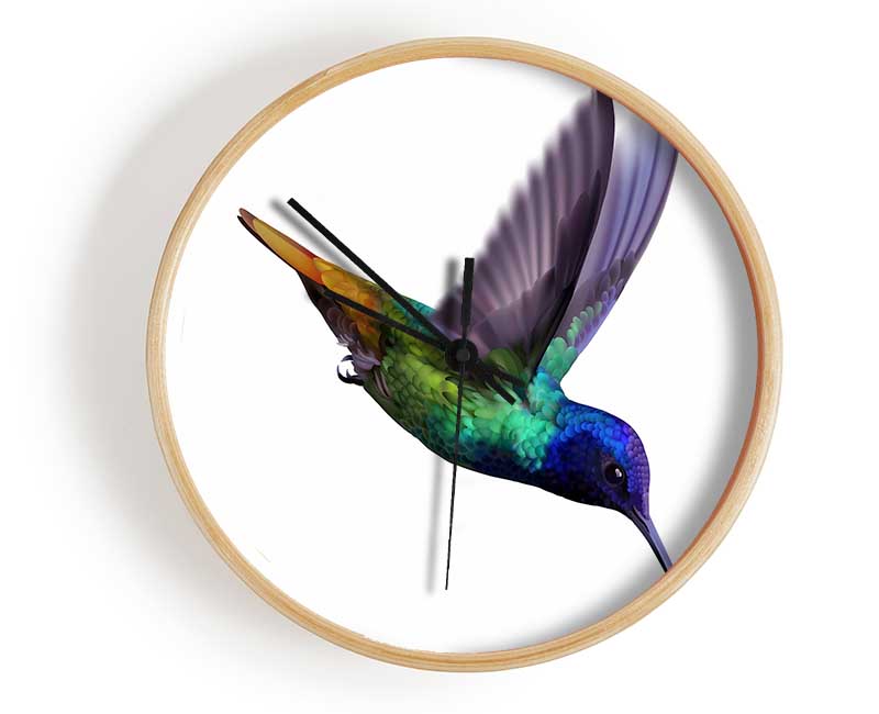 Hummingbird Colours Clock - Wallart-Direct UK