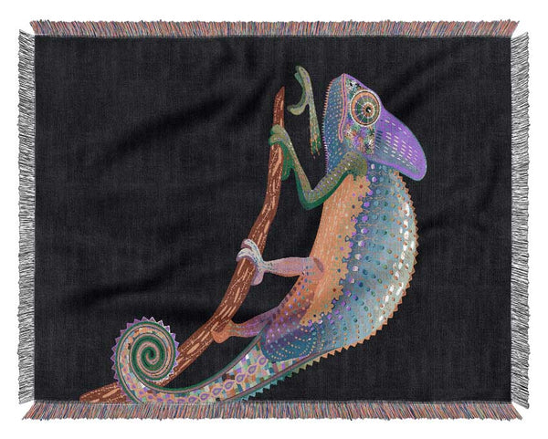 Chameleon Rainbow Woven Blanket