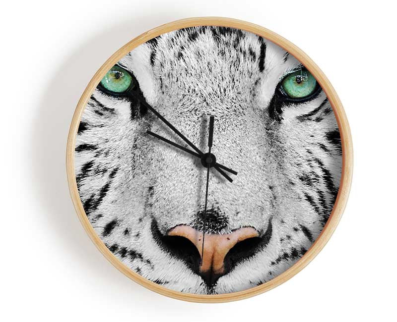 Green Eyed White Tiger Clock - Wallart-Direct UK