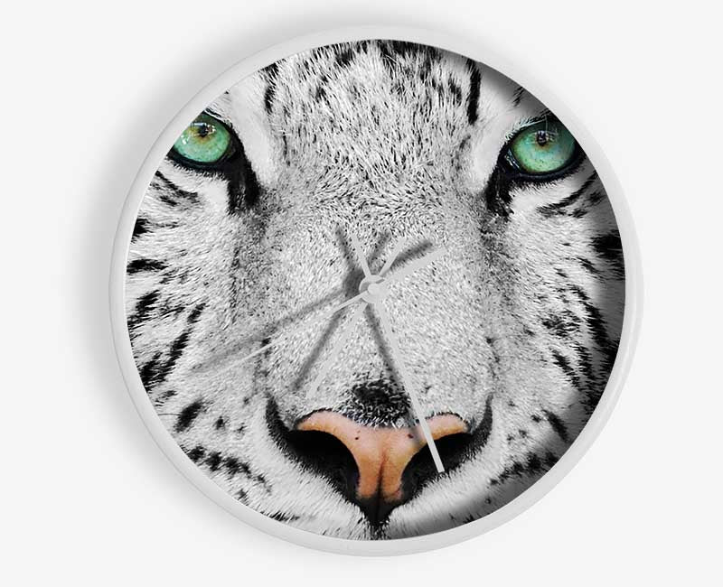 Green Eyed White Tiger Clock - Wallart-Direct UK