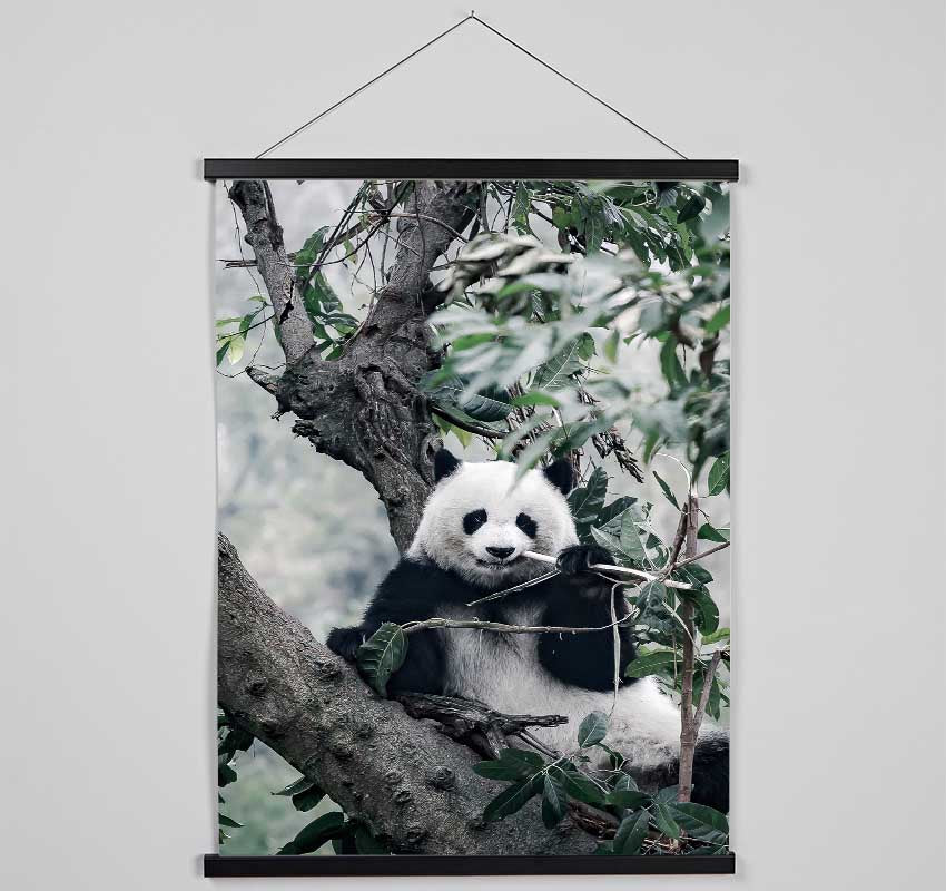 Panda Tree Lover Hanging Poster - Wallart-Direct UK