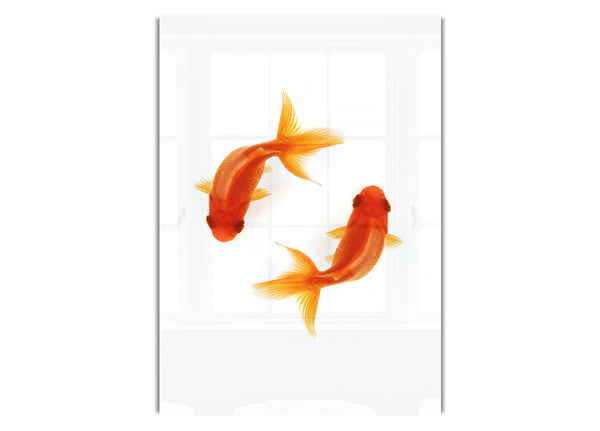 Goldfisch-Reflexionen