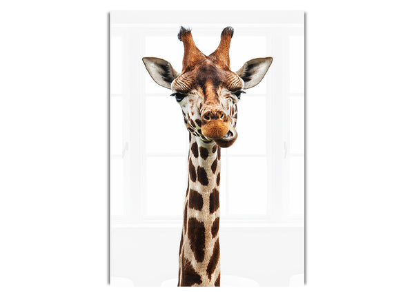 Goofy Giraffe