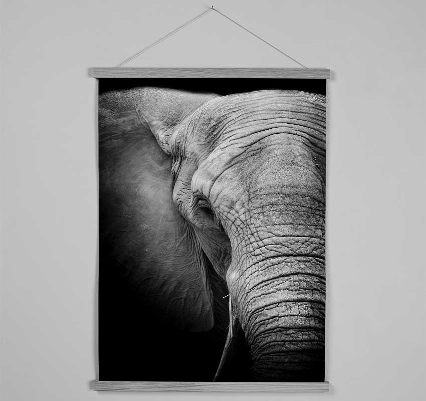 Elephant Power Hanging Poster - Wallart-Direct UK