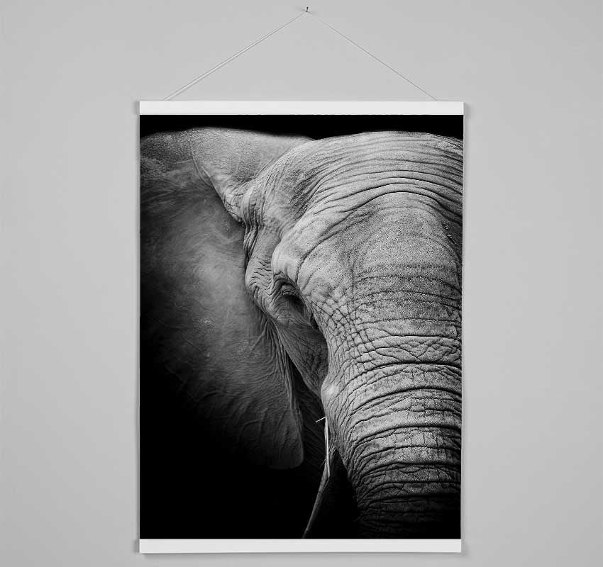 Elephant Power Hanging Poster - Wallart-Direct UK