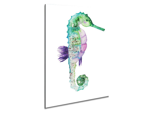 Spotted Seahorse