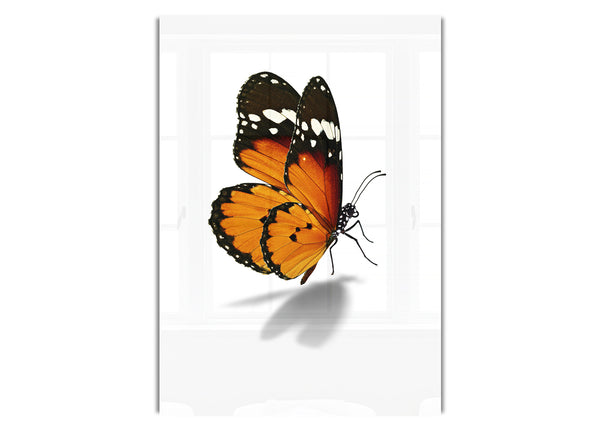 Orange Butterfly