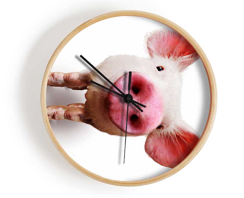 Curious Pig Clock - Wallart-Direct UK