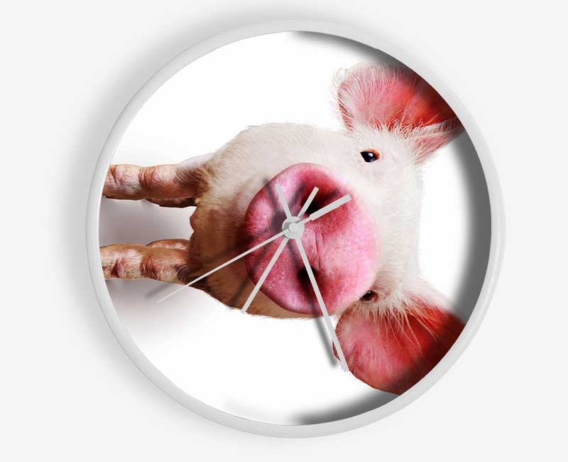 Curious Pig Clock - Wallart-Direct UK