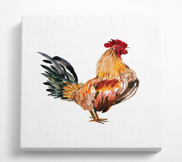 A Square Canvas Print Showing Chicken Call Square Wall Art