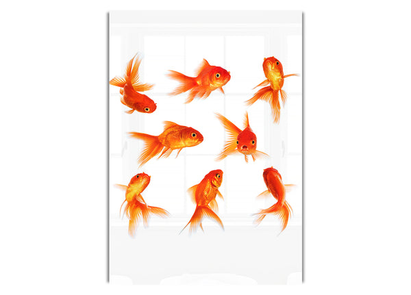 Goldfish Party