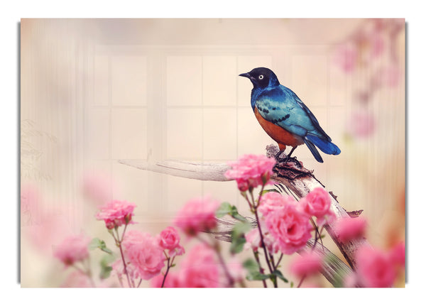 Blue Bird In The Cherry Blossom