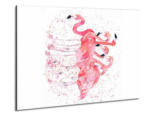 Pink Flamingo Splash