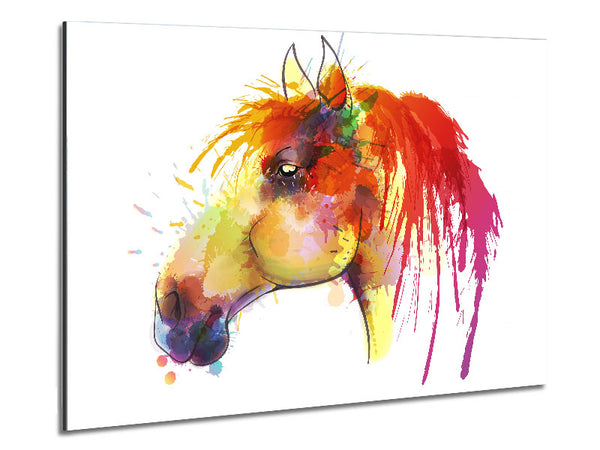 Beautiful Rainbow Horse