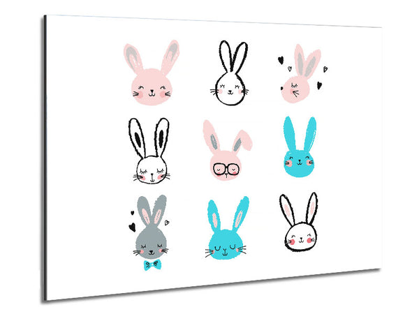 Rabbit Faces