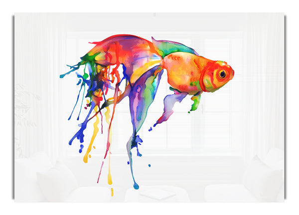 Rainbow Goldfish