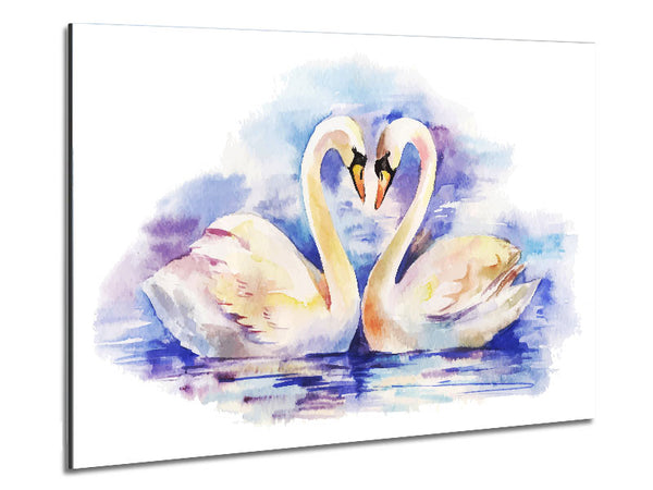 Swan Love