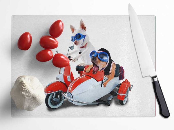 Chihuahua Sidecar Mayhem Dogs Glass Chopping Board