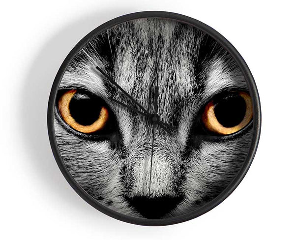 Orange Cat Eyes Clock - Wallart-Direct UK