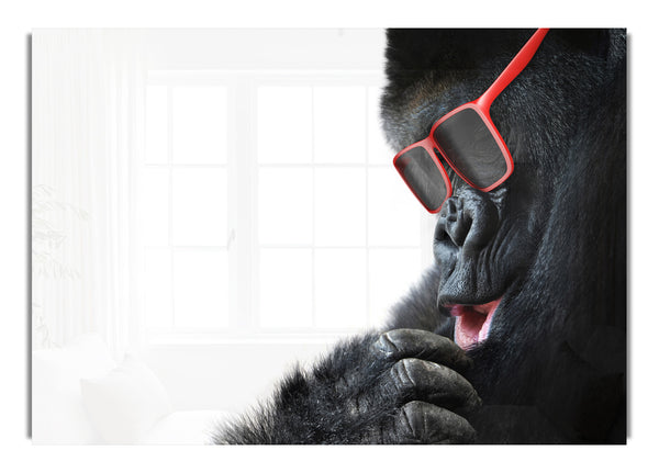 Gorilla Cool