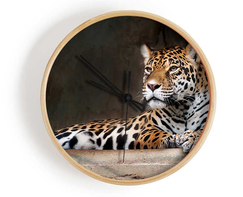 Young Tiger Resting Clock - Wallart-Direct UK