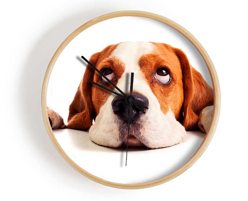 Lazy Basset Hound Dog Clock - Wallart-Direct UK