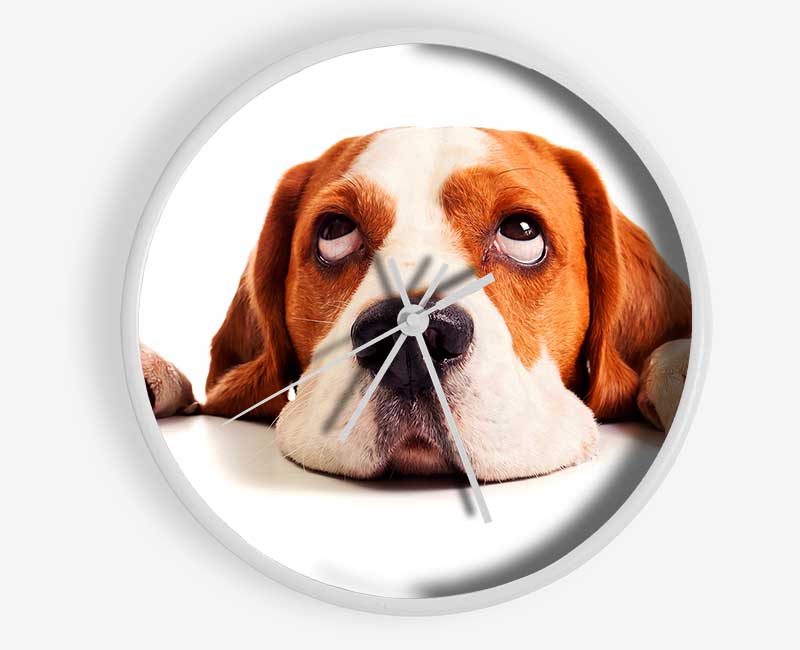 Lazy Basset Hound Dog Clock - Wallart-Direct UK