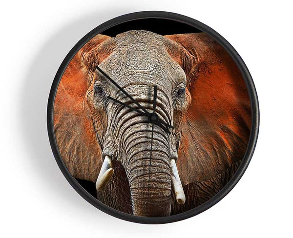 Elephant Ears Clock - Wallart-Direct UK