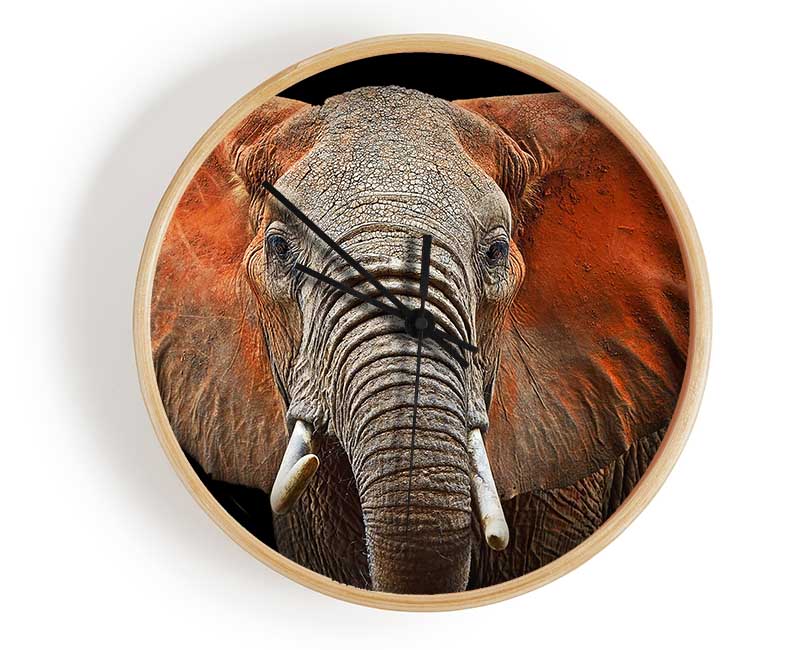 Elephant Ears Clock - Wallart-Direct UK