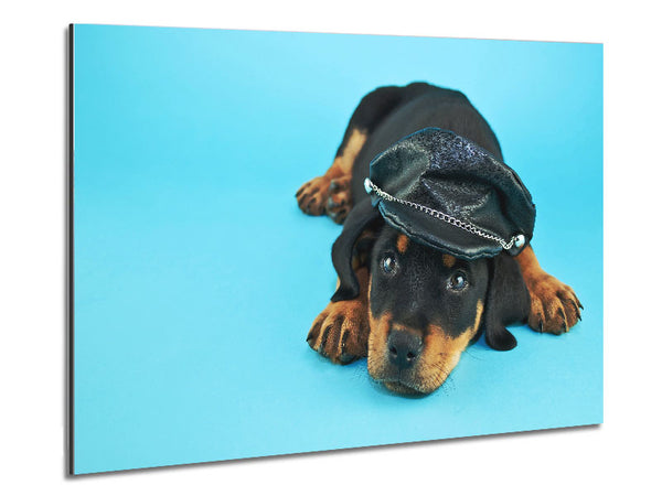 Rottweiler Puppy Dog Hat