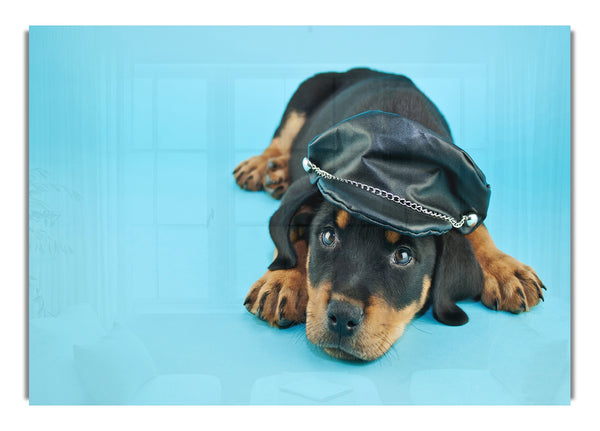 Rottweiler Puppy Dog Hat