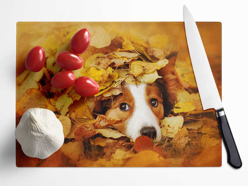 Dog In Autumn Leaves Glass Chopping Board