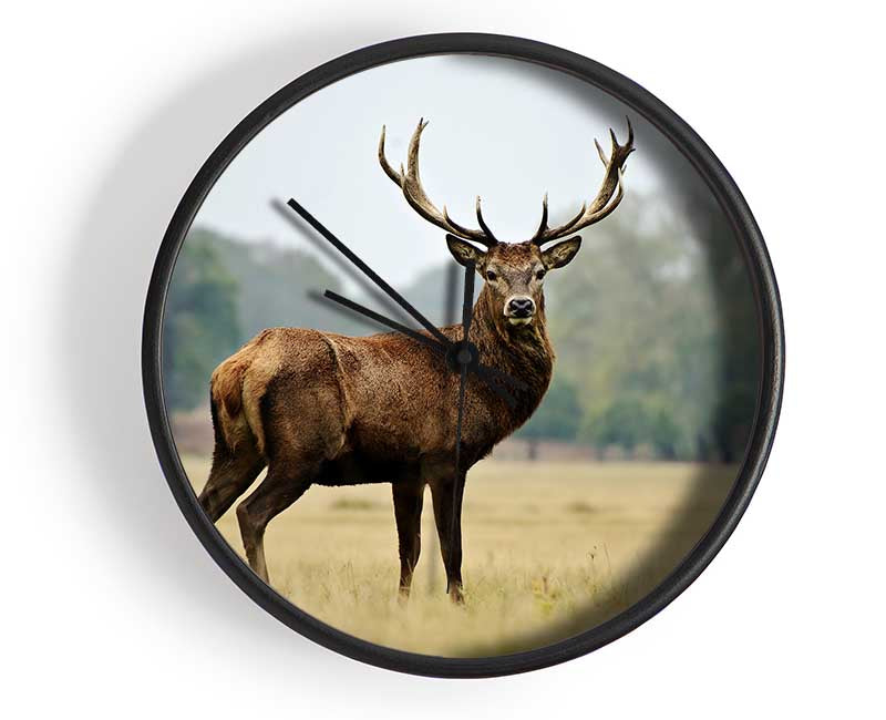 Red Deer Beauty Clock - Wallart-Direct UK