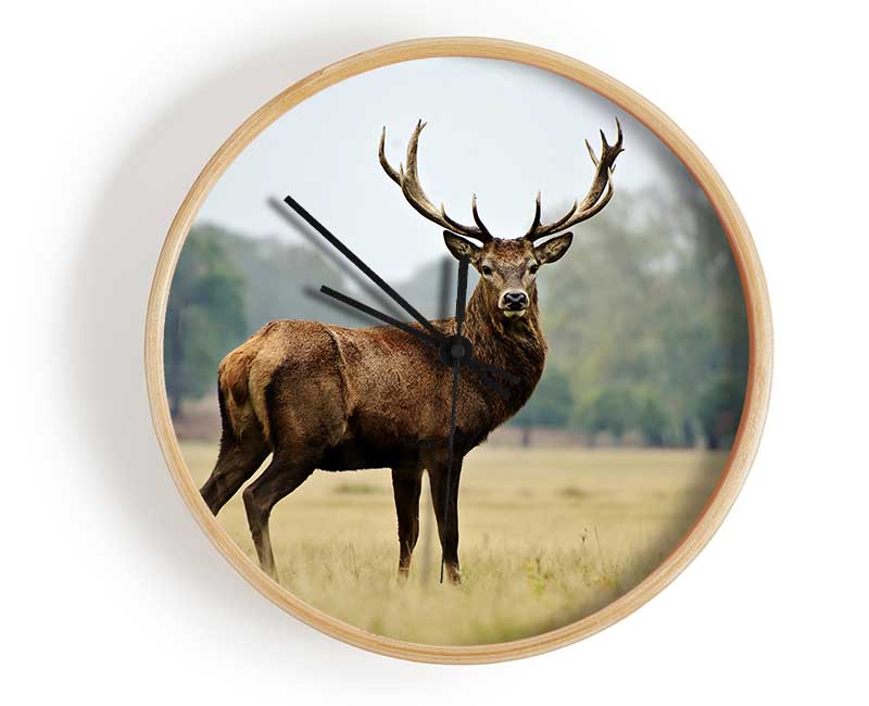 Red Deer Beauty Clock - Wallart-Direct UK