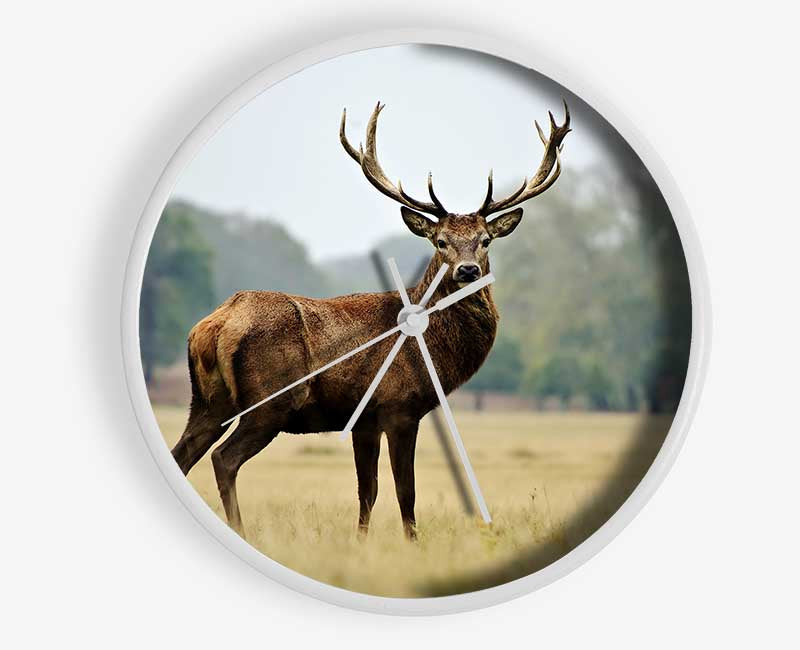 Red Deer Beauty Clock - Wallart-Direct UK