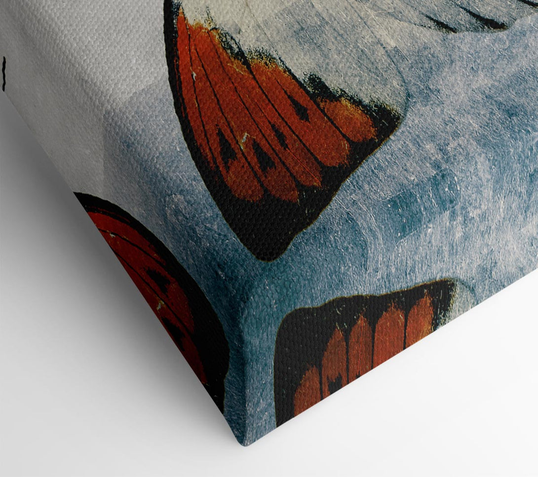 Picture of Orange Tipped Butterfly Canvas Print Wall Art