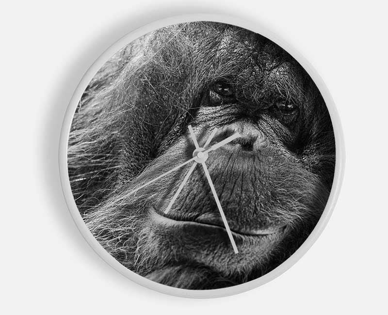 Orangutan Face Clock - Wallart-Direct UK